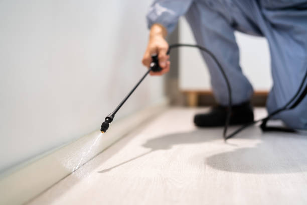 Certified termite inspector examining foundation in Cabot